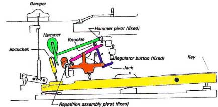 The five rigid bodies of piano action